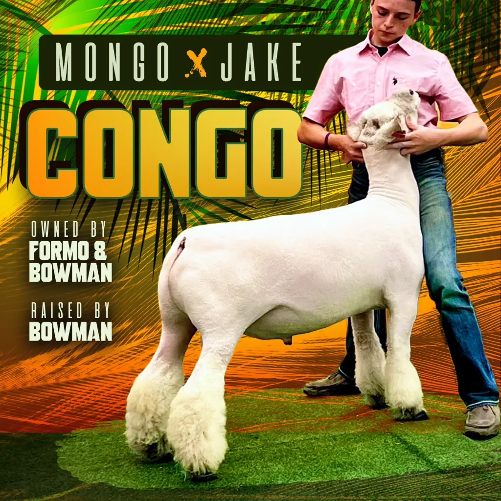 Congo