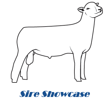 Sire Showcase